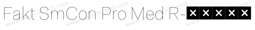 Fakt SmCon Pro Med R字体转换